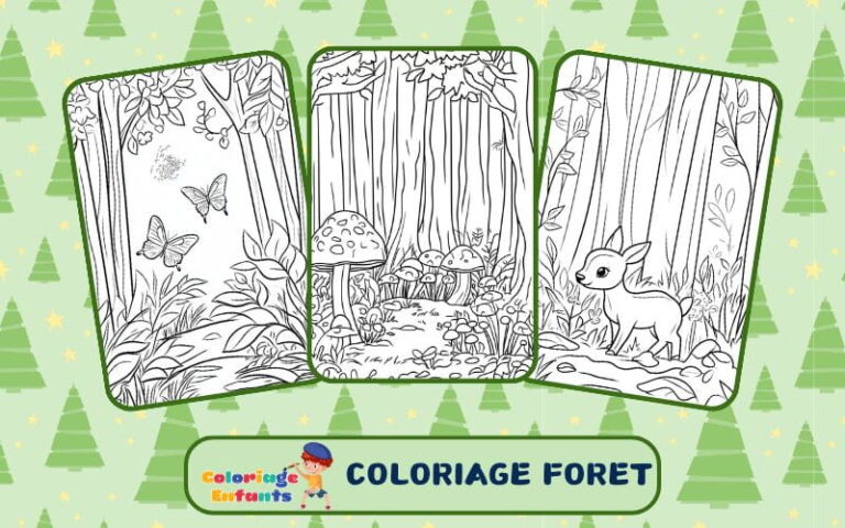 coloriage foret