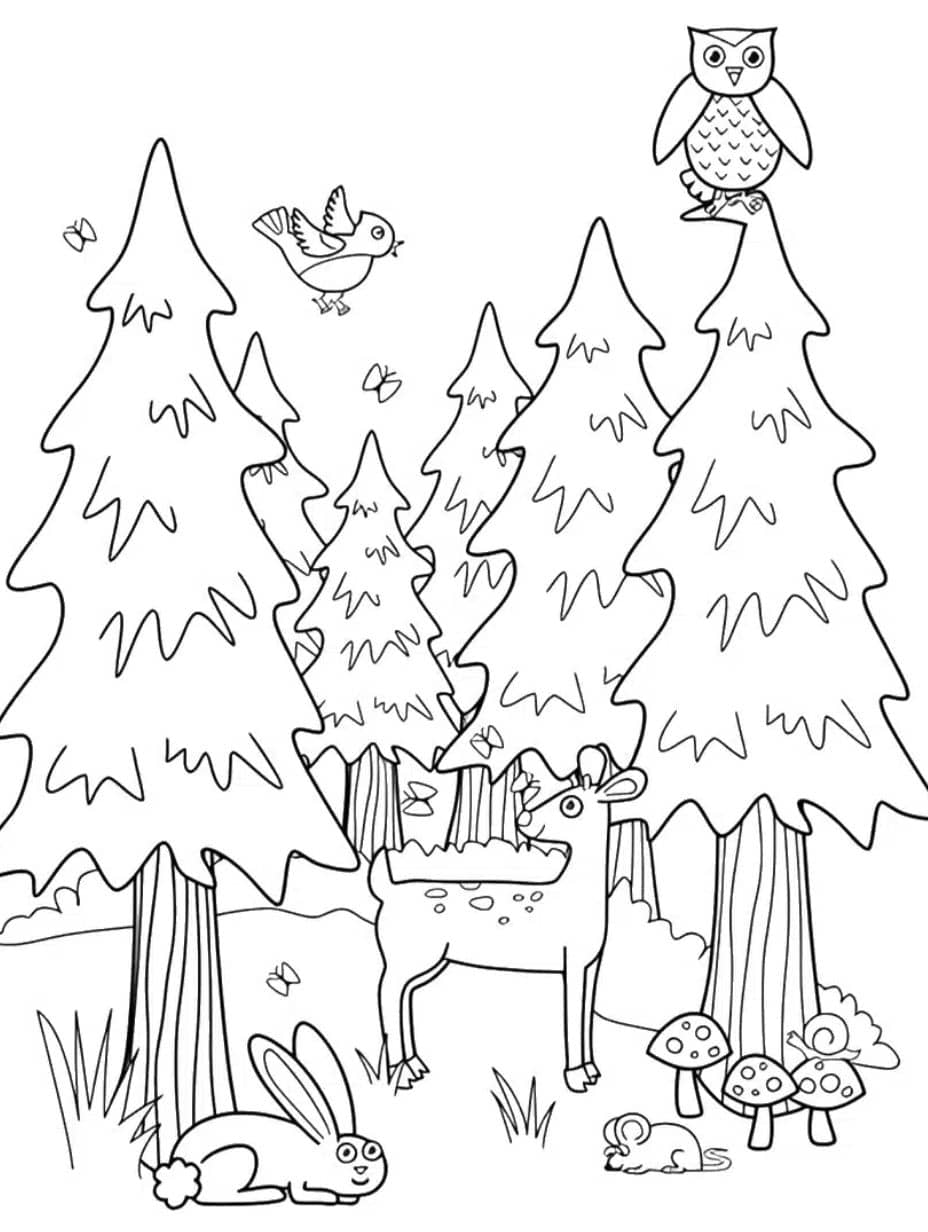 Coloriage Foret Arbre De Noel