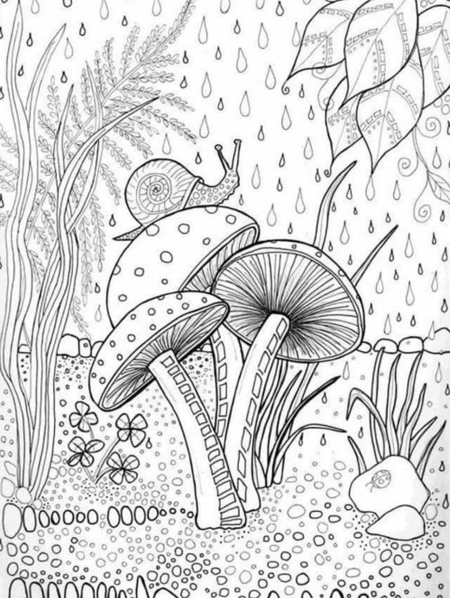 Coloriage Foret Champignon