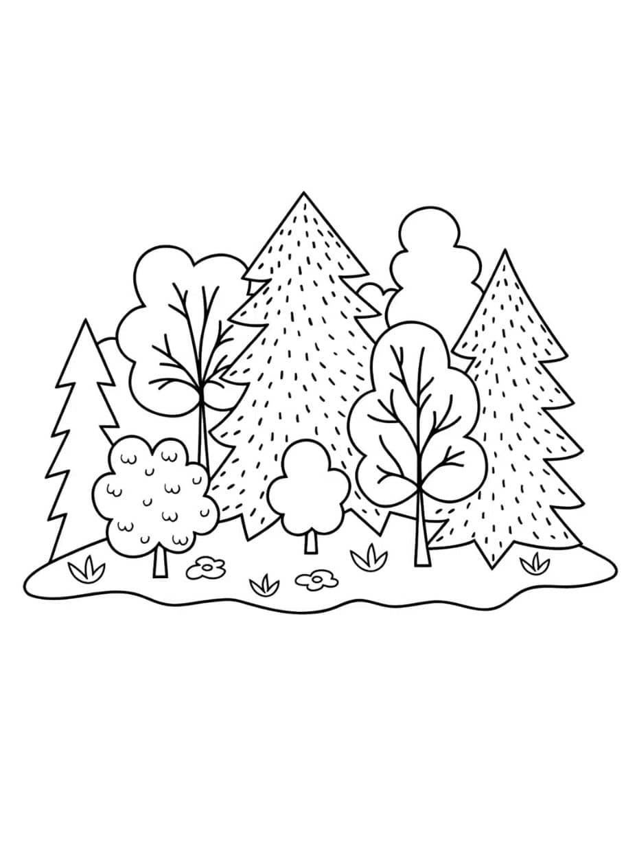 Coloriage Foret Plusieurs Arbres