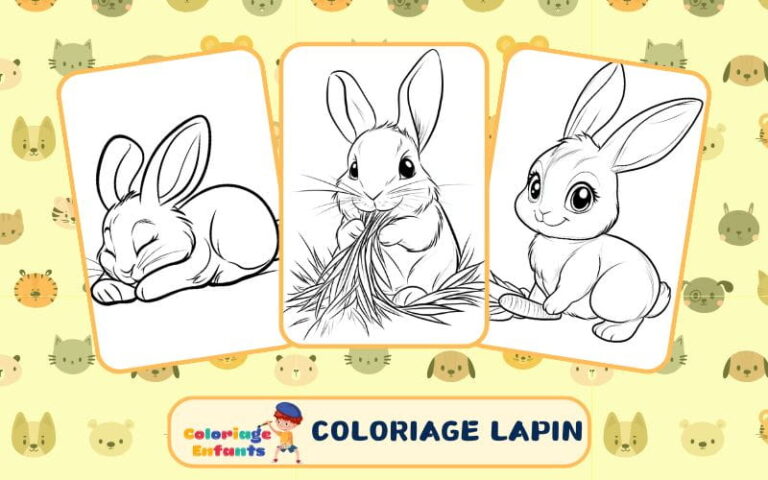 coloriage lapin