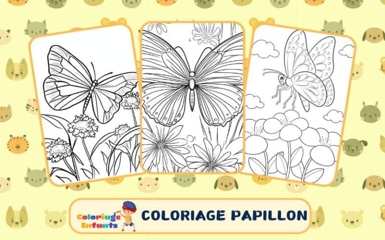 coloriage papillon