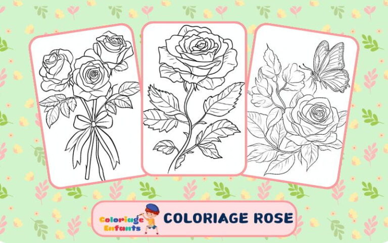 coloriage rose