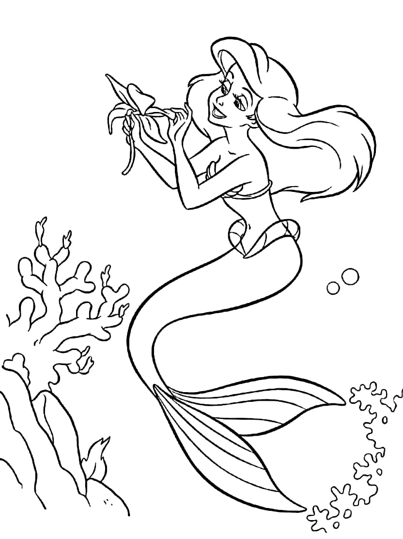 Coloriage Ariel Gratuit