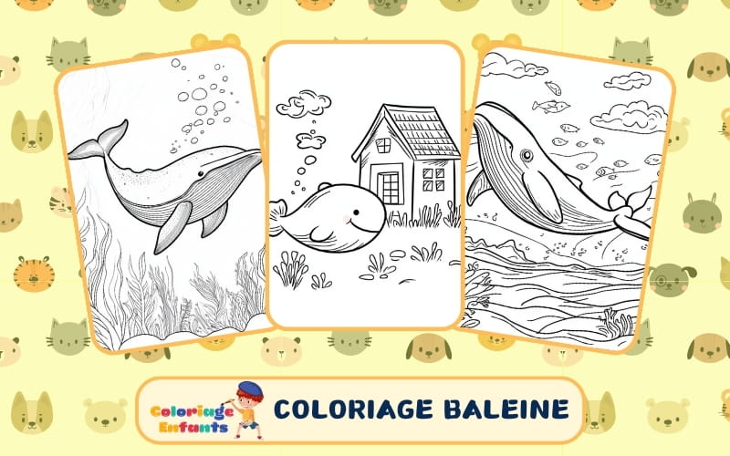 Coloriage Baleine