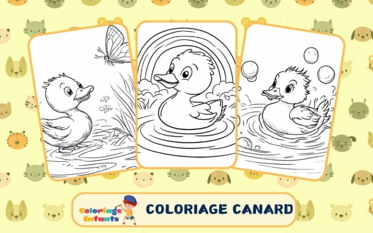 Coloriage Canard