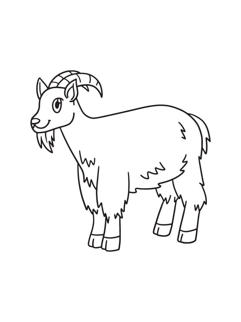 Coloriage Chevre Simple Pour Enfant Facile