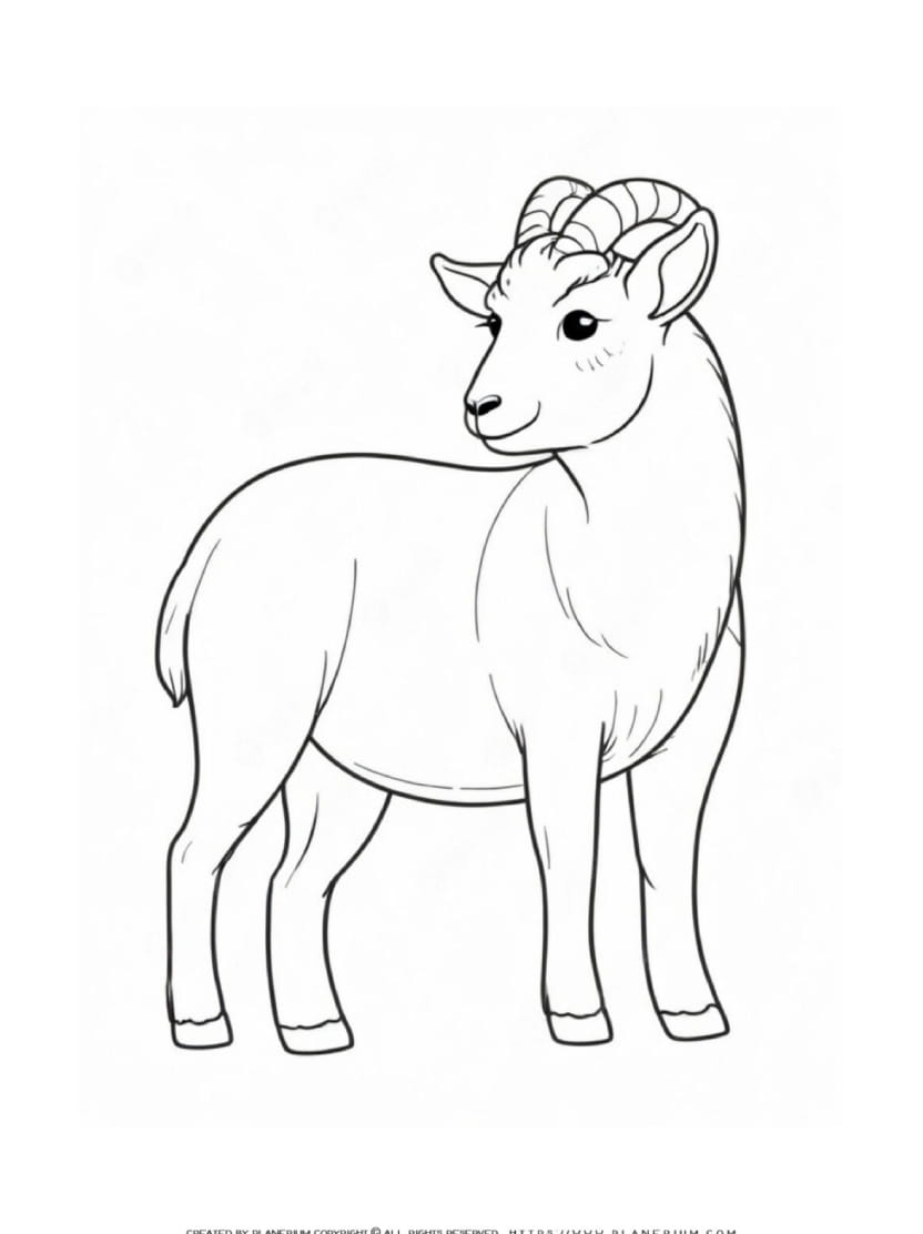 Coloriage Chevre Simple