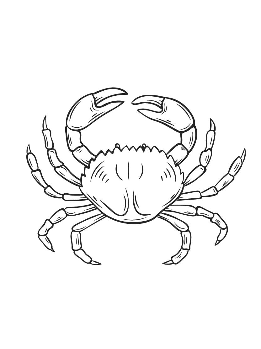 Coloriage Crabe Adorable