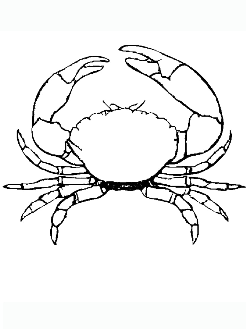 Coloriage Crabe Facile