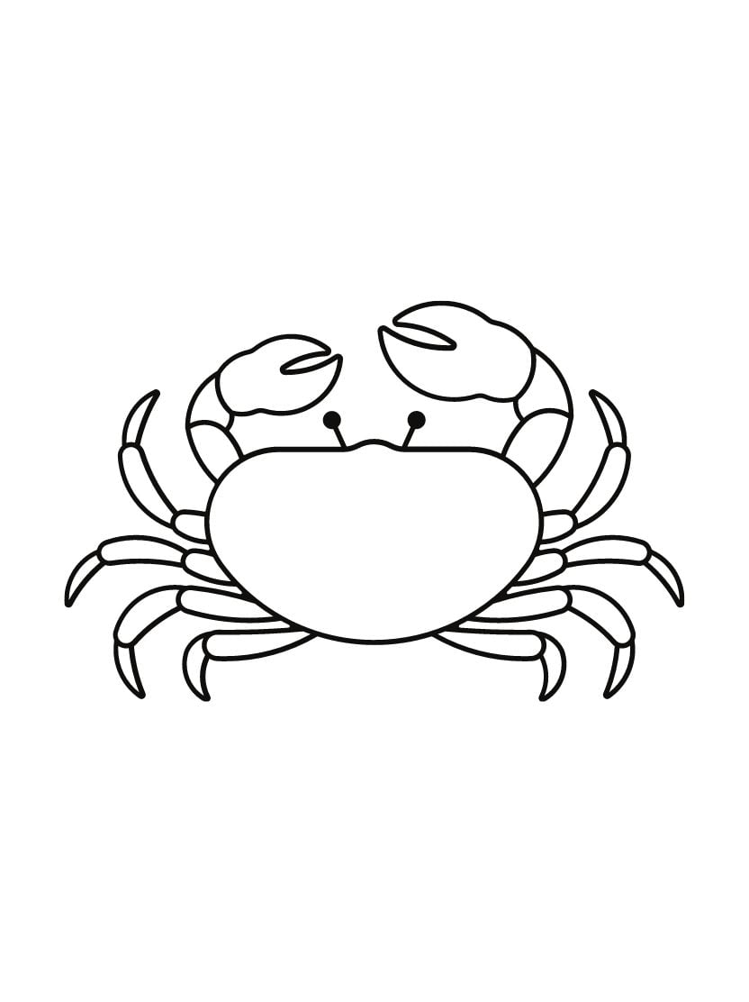 Coloriage Crabe Magnifique