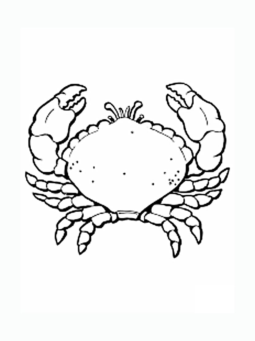 Coloriage Crabe Simple Pour Enfants