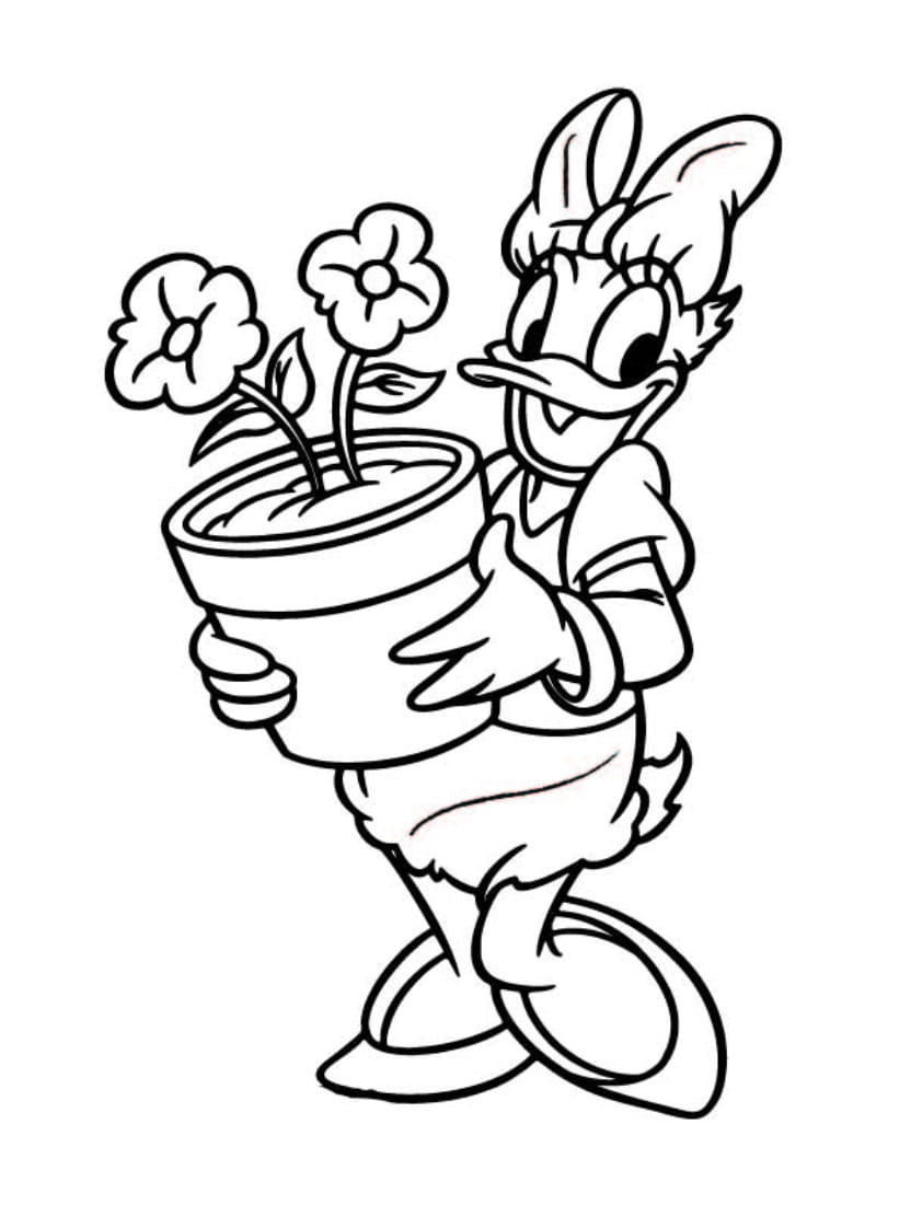 Coloriage Daisy En Pot De Fleurs