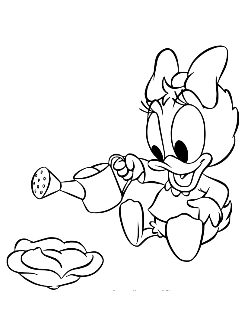 Coloriage Daisy Gratuit Pour Enfant