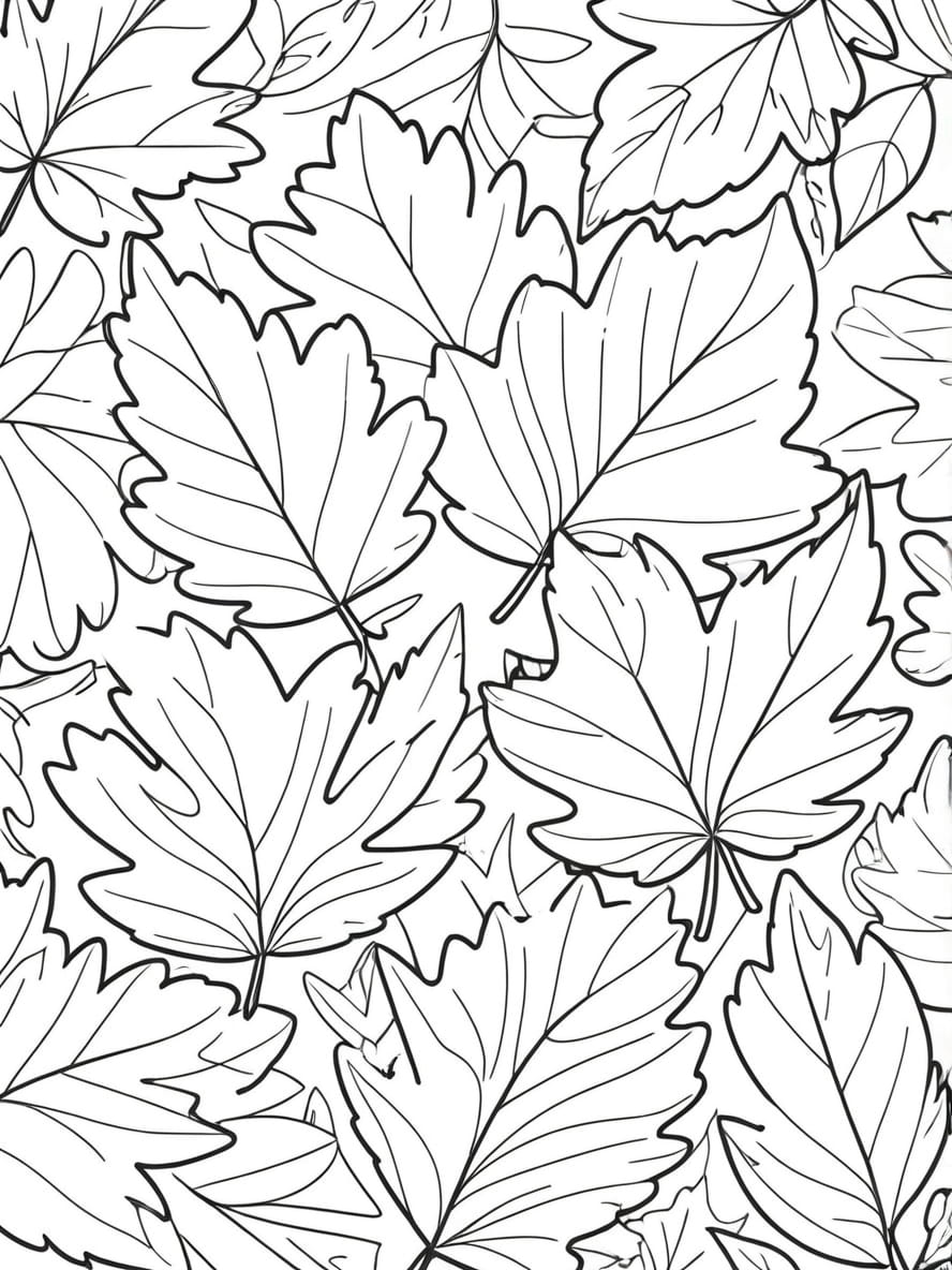 Coloriage De Feuilles D Automne