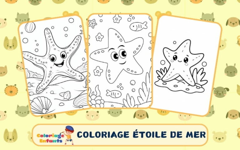 Coloriage Etoile De Mer