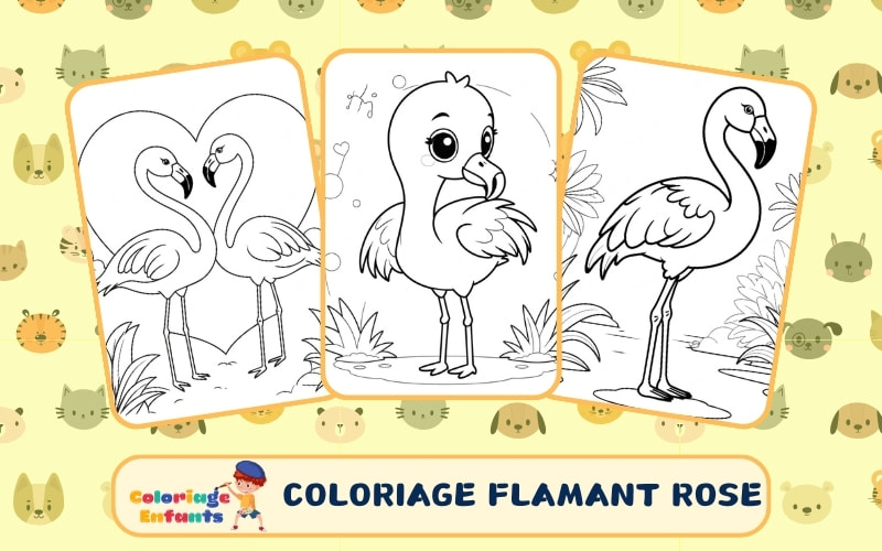 Coloriage Flamant Rose