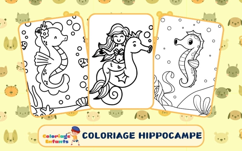 Coloriage Hippocampe