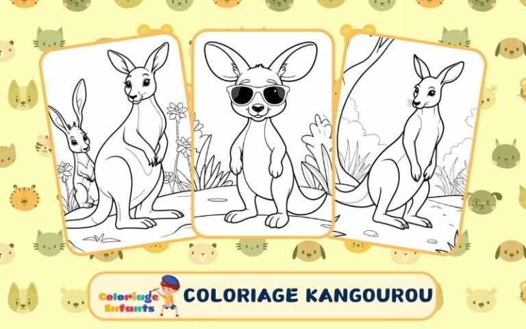 Coloriage Kangourou