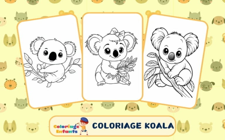 Coloriage Koala