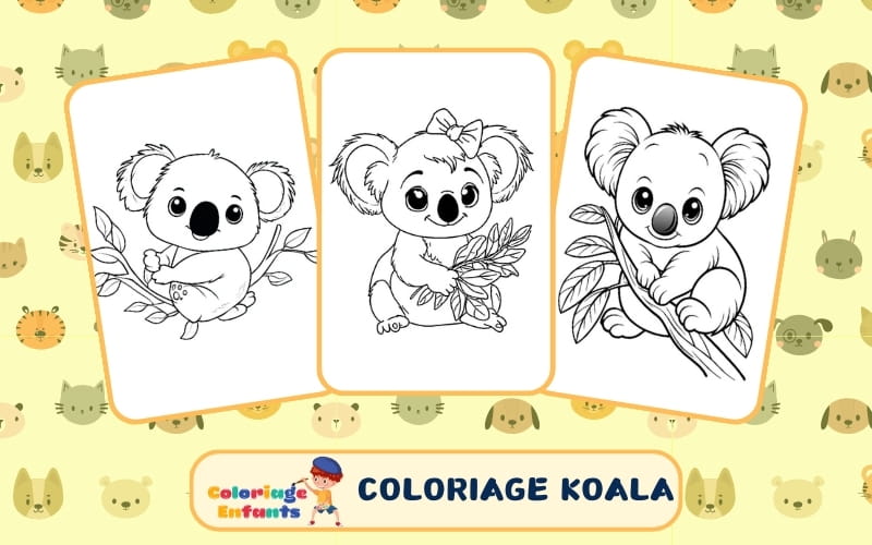 Coloriage Koala