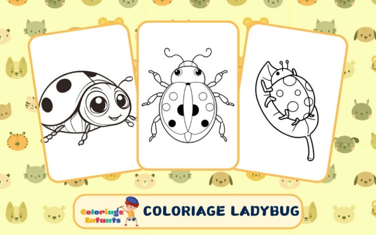 Coloriage Ladybug