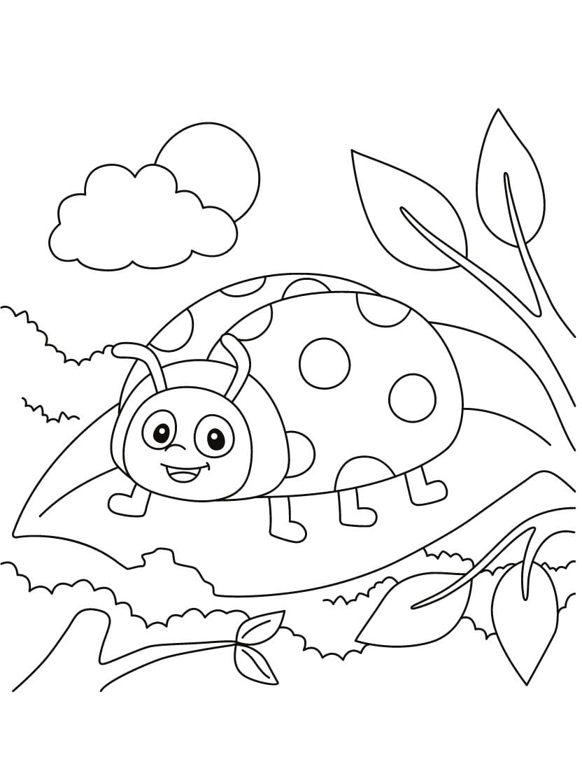 Coloriage Ladybug Et Nuages