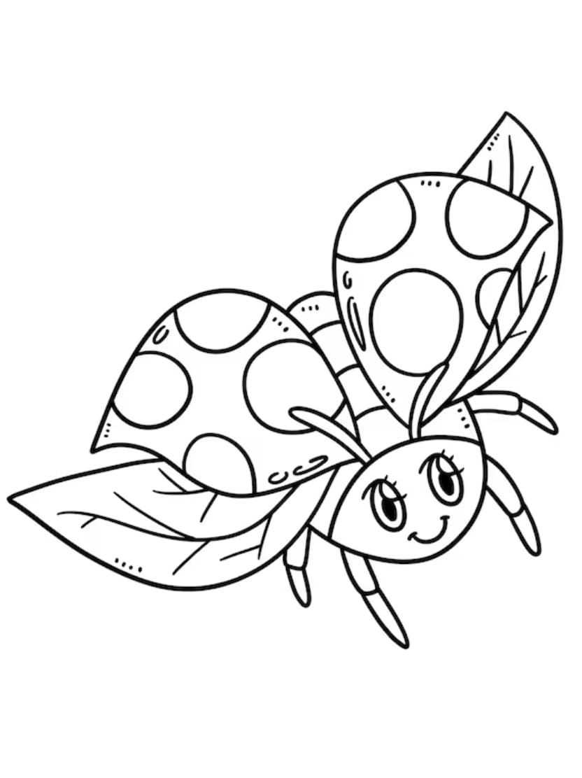 Coloriage Ladybug Facile