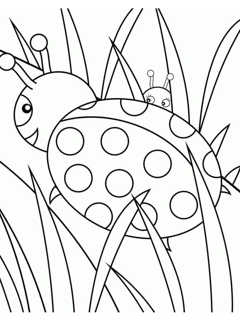 Coloriage Ladybug Gratuit Et Plantes