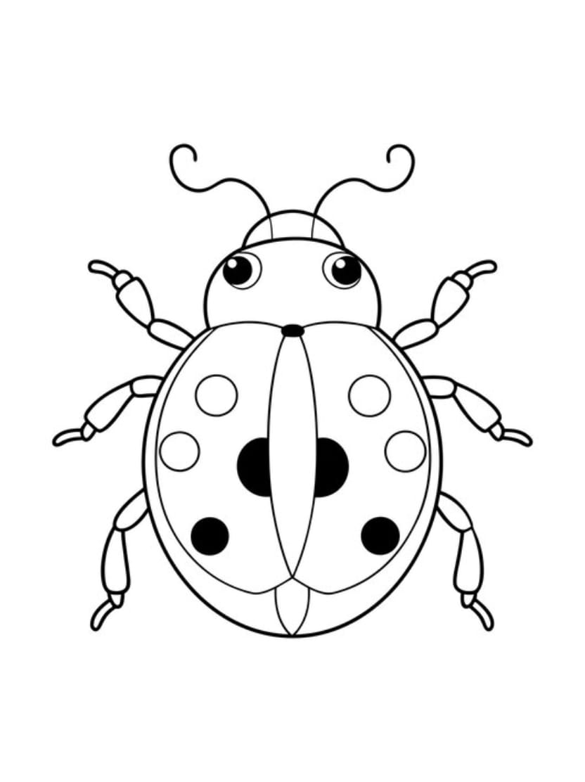 Coloriage Ladybug Simple Gratuit