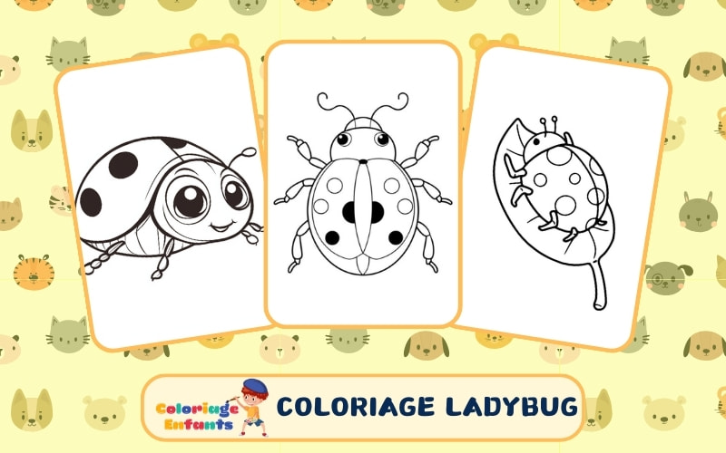 Coloriage Ladybug