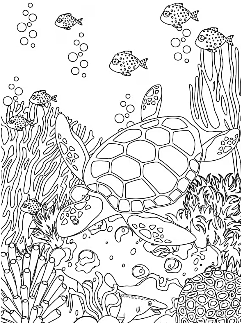 Coloriage Ocean Image Tortue Gratuit