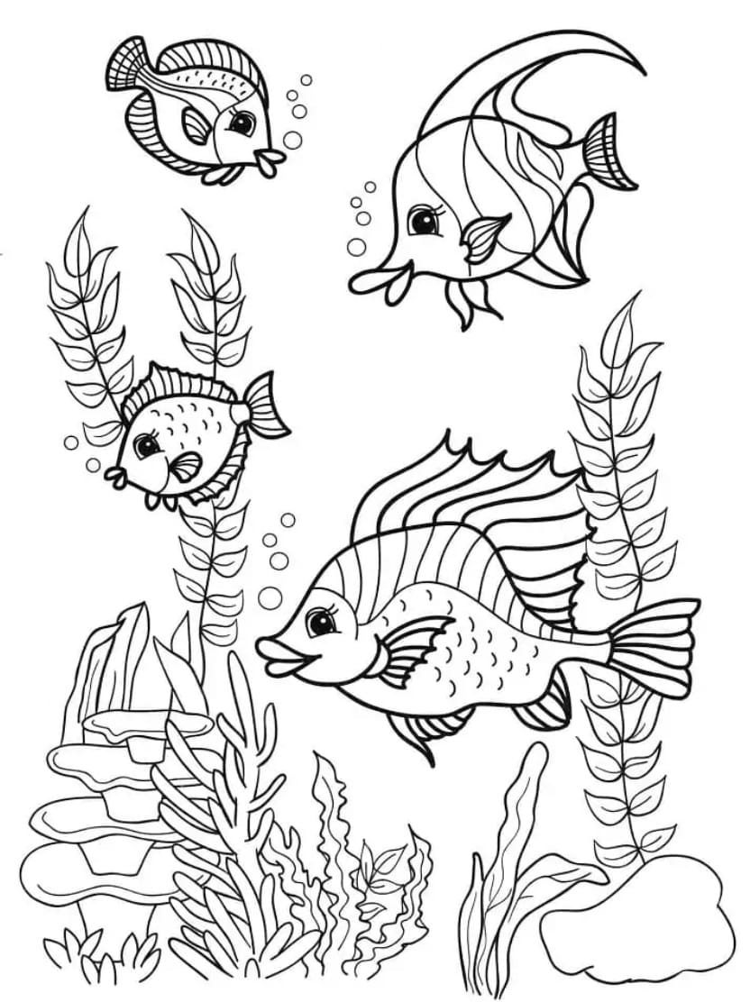 Coloriage Ocean Poissons Et Algues