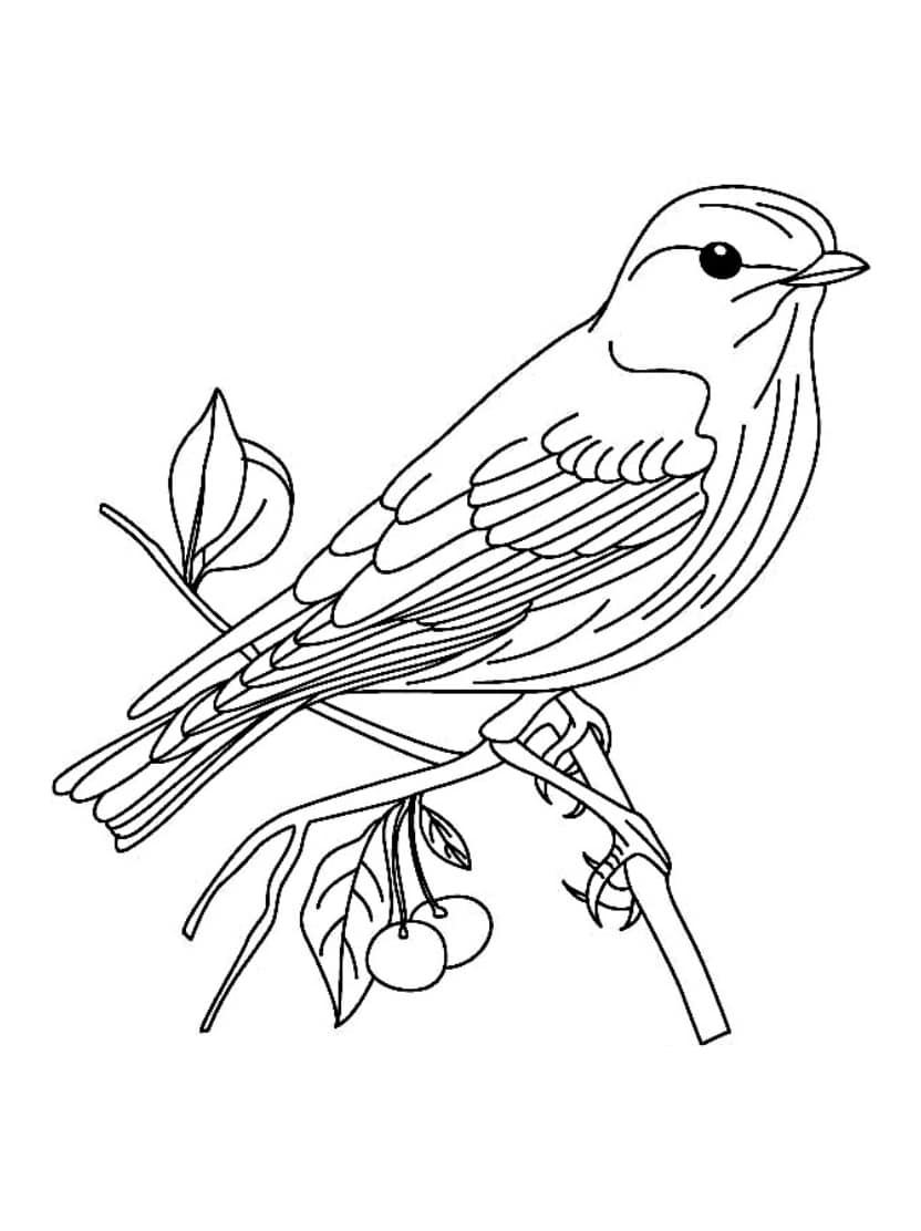 Coloriage Oiseau Artistique