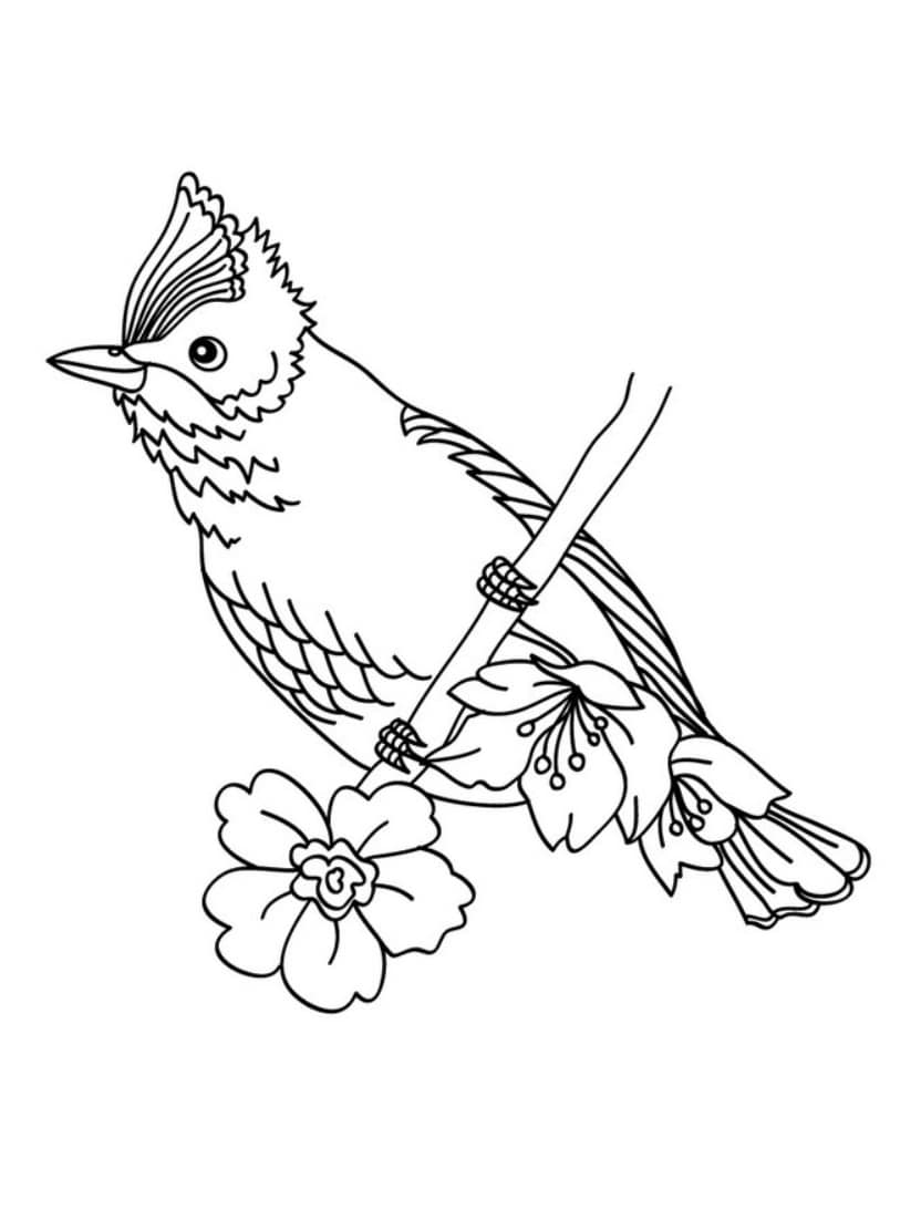 Coloriage Oiseau Et Fleurs Gratuit