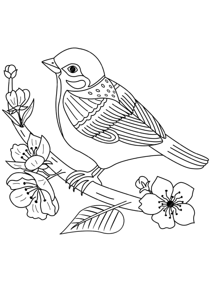 Coloriage Oiseau Et Fleurs