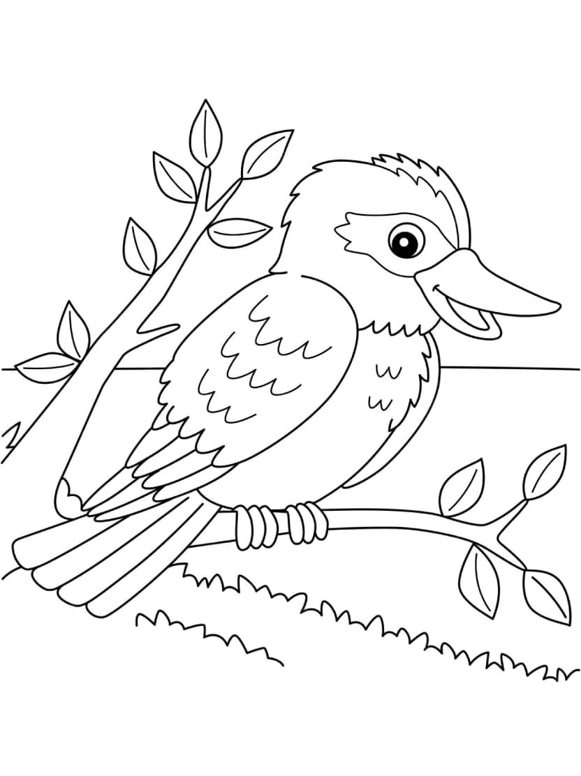 Coloriage Oiseau Facile