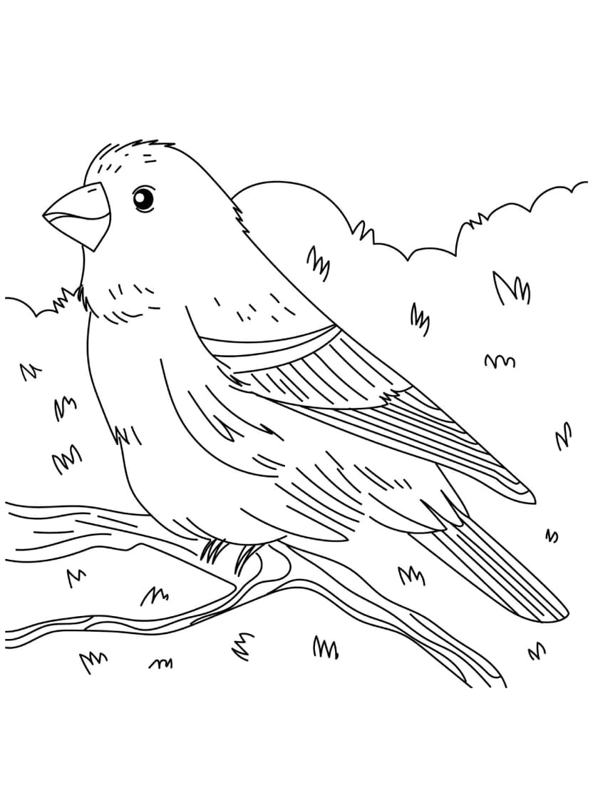 Coloriage Oiseau Pour Enfant Liberte De Creation