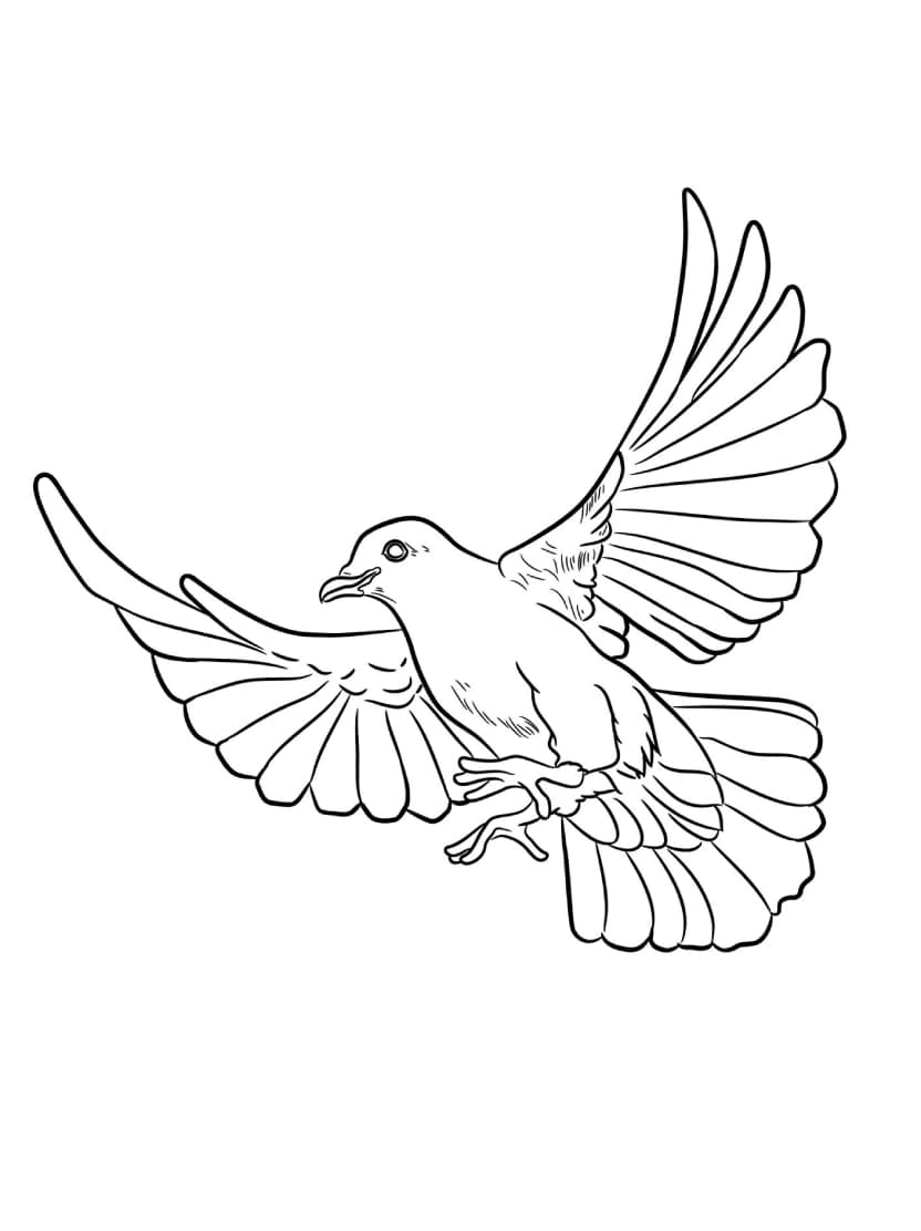 Coloriage Oiseau Simple Et Gratuit