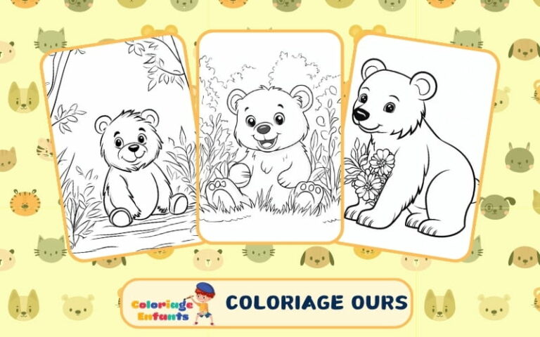 Coloriage Ours