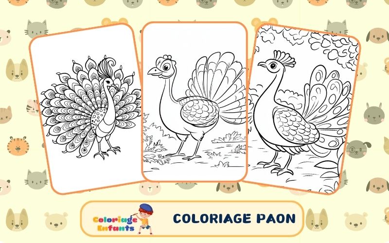 Coloriage Paon