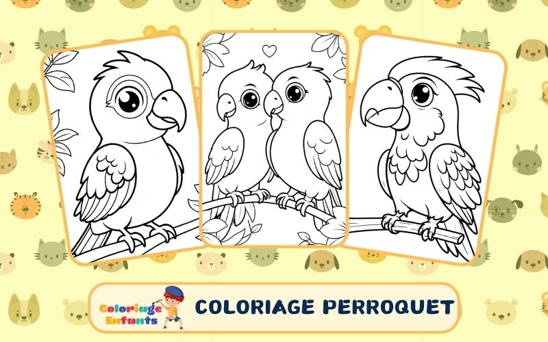 Coloriage Perroquet