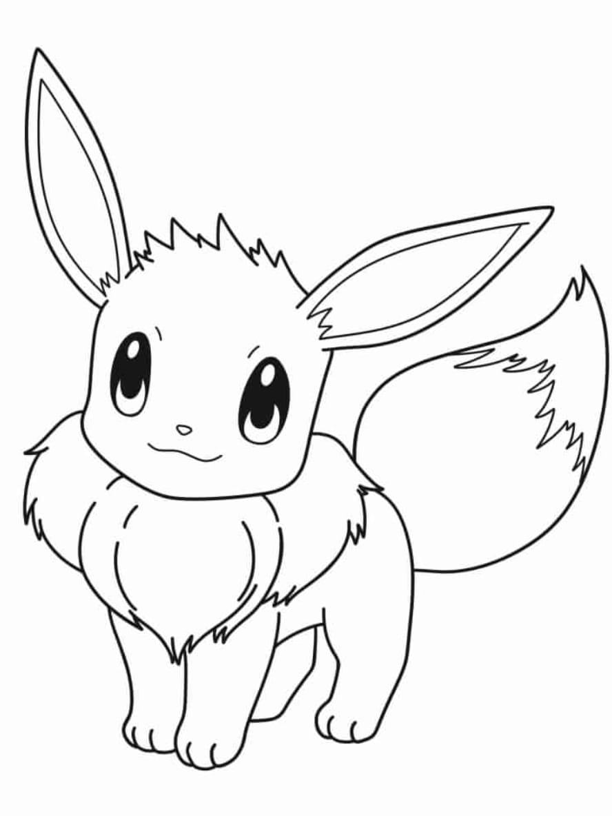 Coloriage Pokemon Evoli Et Zenigame