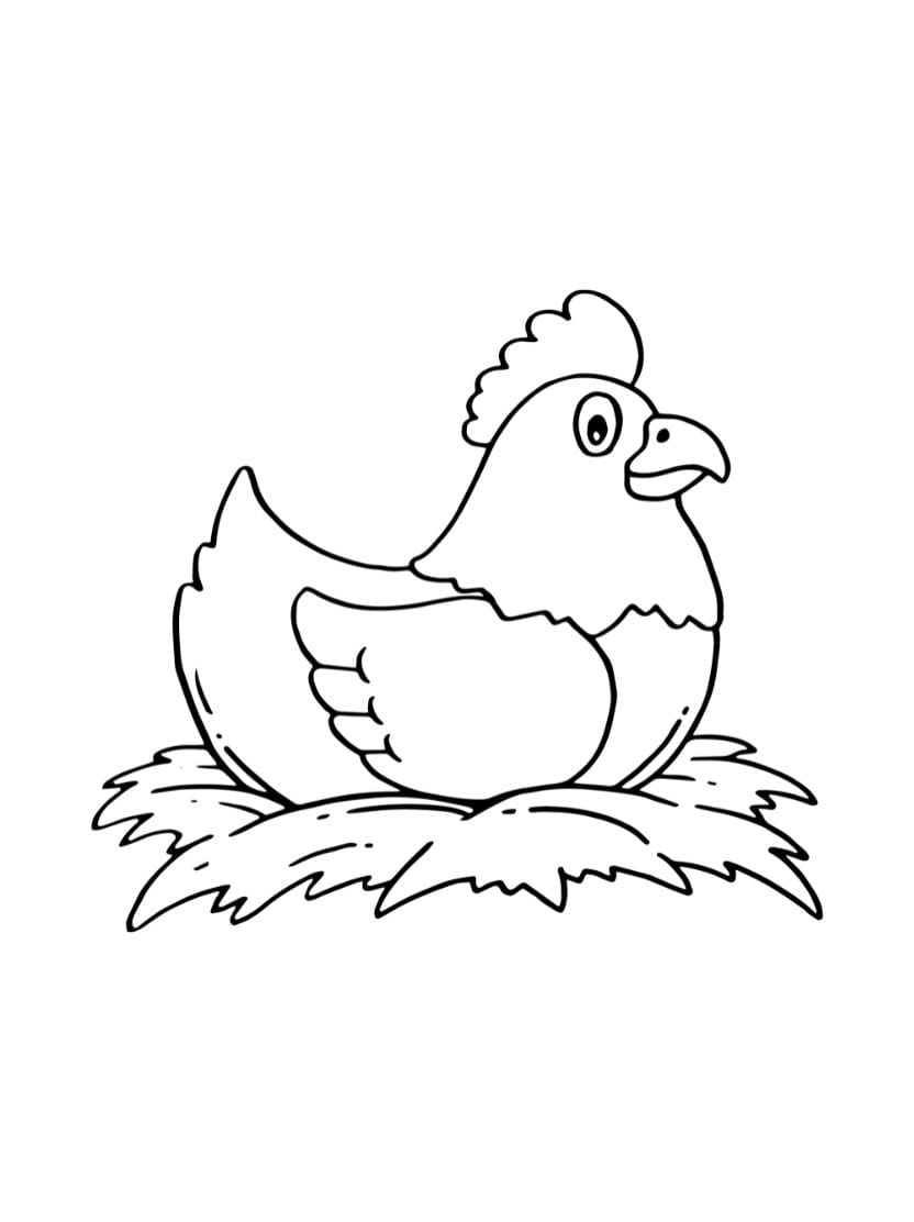 Coloriage Poule A Imprimer Pour Enfant