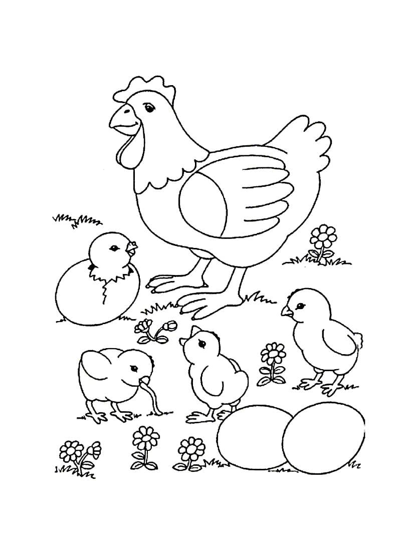 Coloriage Poule Avec Famille