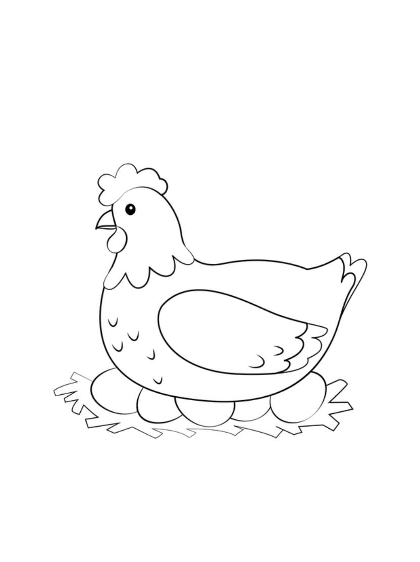 Coloriage Poule En Couvant Oeufs