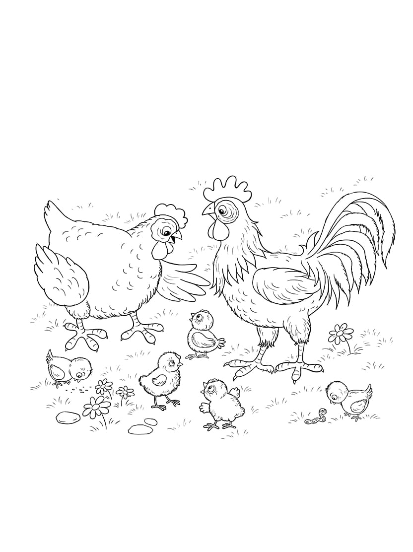 Coloriage Poule Et Poussin