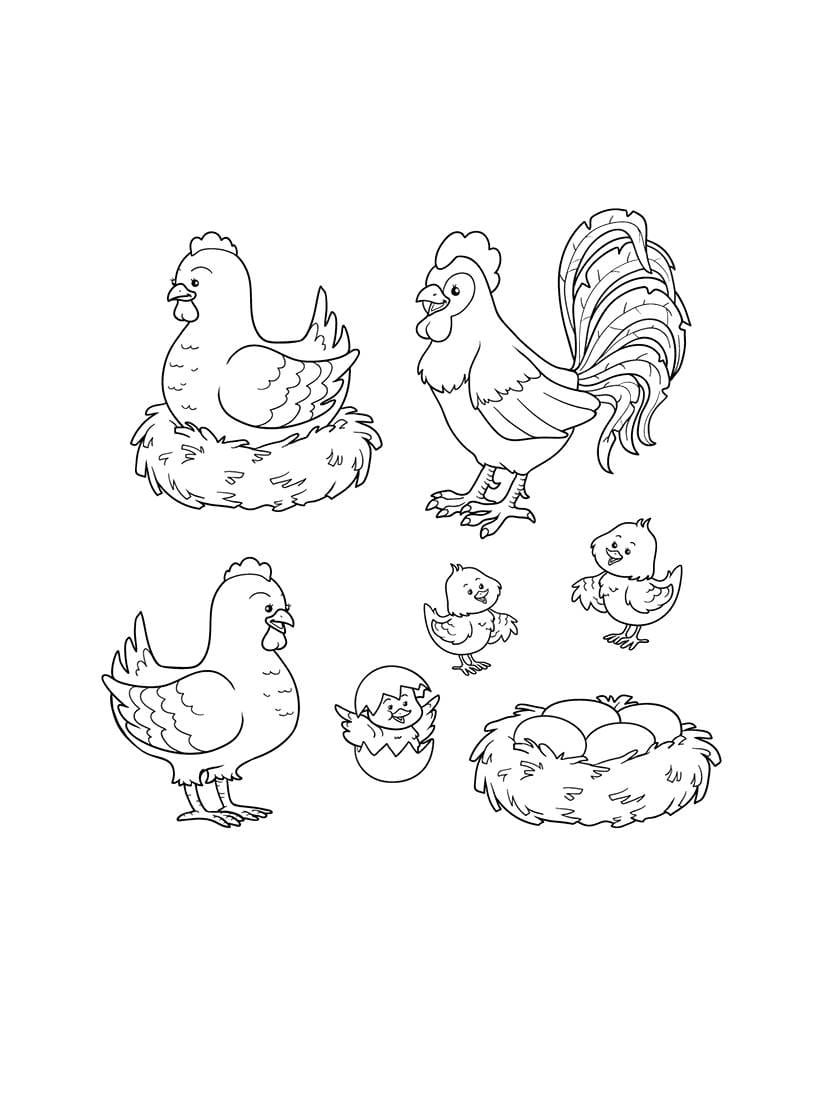 Coloriage Poule Gratuit Simple