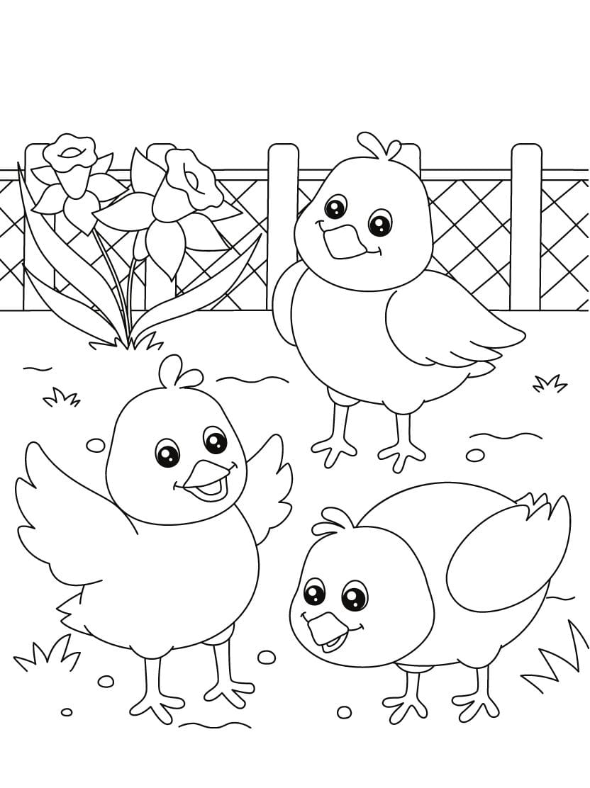 Coloriage Poule Poussin A Imprimer