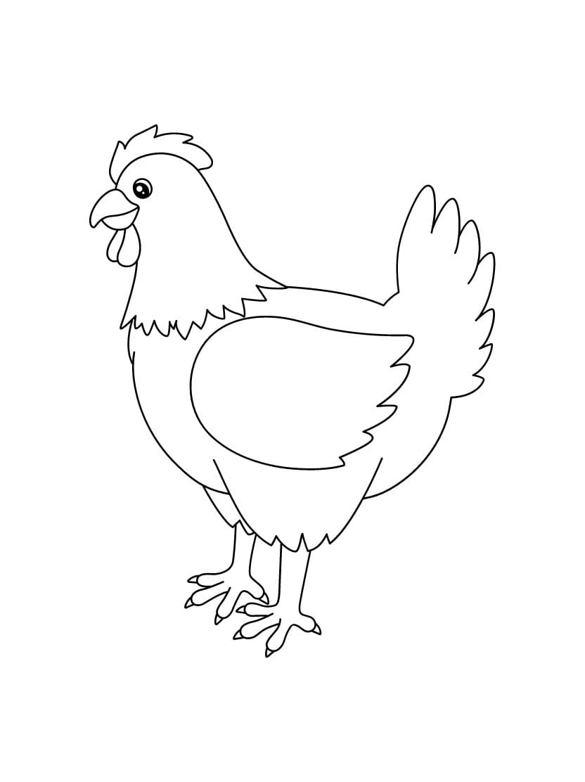 Coloriage Poule Simples